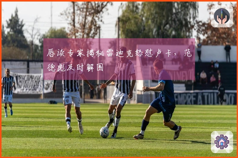 唇读专家揭秘雷迪克怒怼卢卡，范德彪及时解围