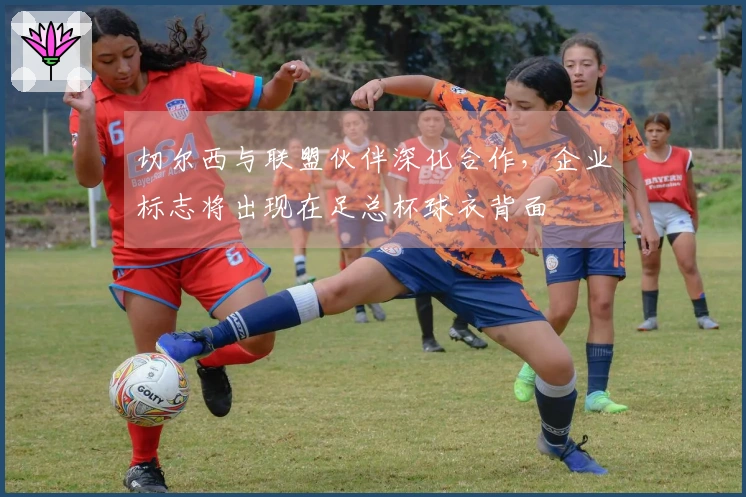 切尔西与联盟伙伴深化合作，企业标志将出现在足总杯球衣背面