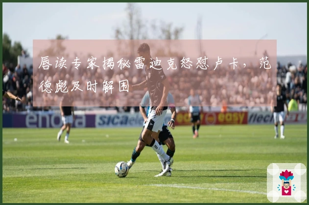 唇读专家揭秘雷迪克怒怼卢卡，范德彪及时解围